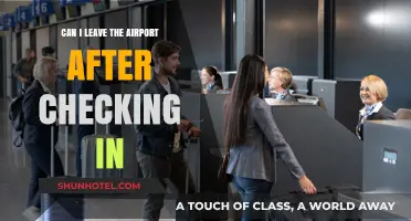 Exploring the City: Pre-Flight Check-In Options
