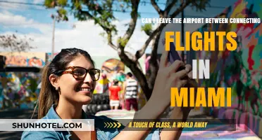 Exploring Miami Between Connecting Flights: What You Need to Know