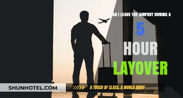 Exploring During Layovers: Can You Leave the Airport?