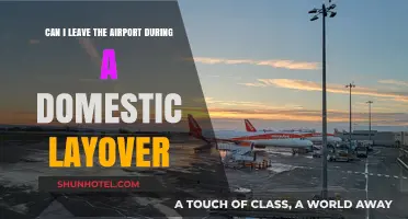 Exploring During a Layover: Can You Leave the Airport?