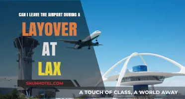 Exploring LA During a Layover: What You Need to Know