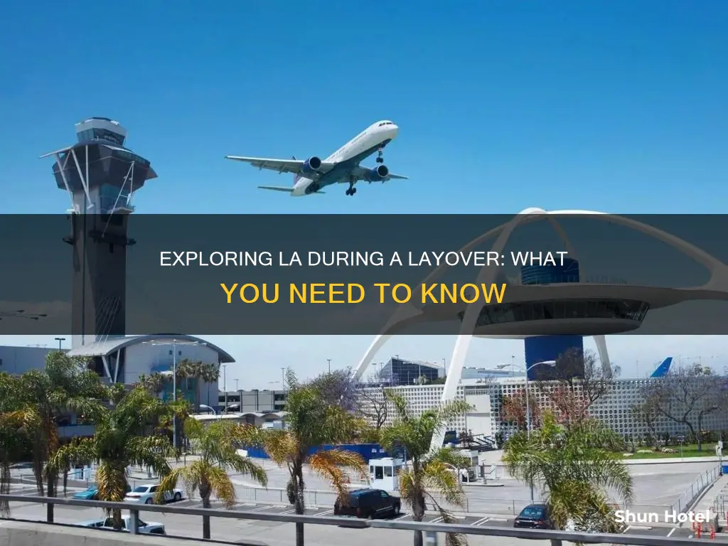 can i leave the airport during a layover at lax