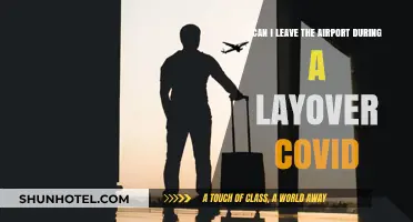 Airport Layover and COVID: Can I Leave?