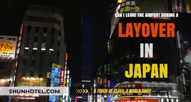 Exploring Japan During a Layover: Can You Leave the Airport?