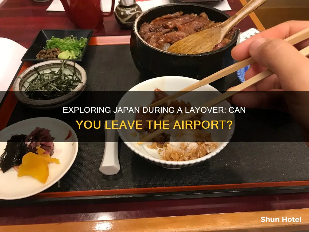 can i leave the airport during a layover in japan