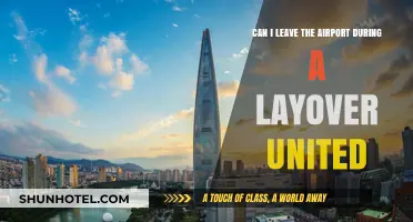 Exploring During a Layover: What are Your Options?