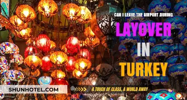 Exploring Turkey During a Layover: Is It Possible?