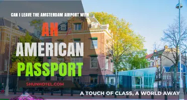 Americans at Amsterdam Airport: Can I Leave?