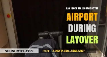 Locking Luggage: Layover Security