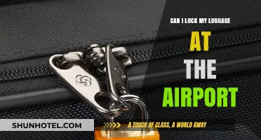 Locking Luggage: Airport Security and Your Bags
