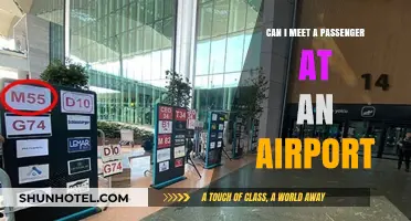 Exploring Airport Security: Meeting Passengers