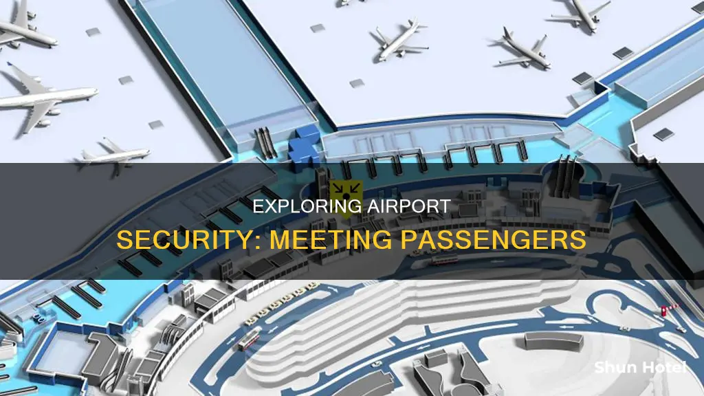 can i meet a passenger at an airport