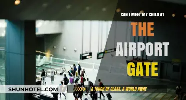 Meeting Children at Airport Gates: What's the Deal?