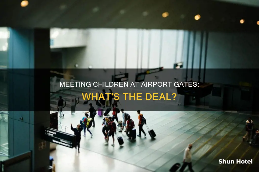 can i meet my child at the airport gate