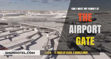 Airport Gate Meetings: Can I Greet Family?