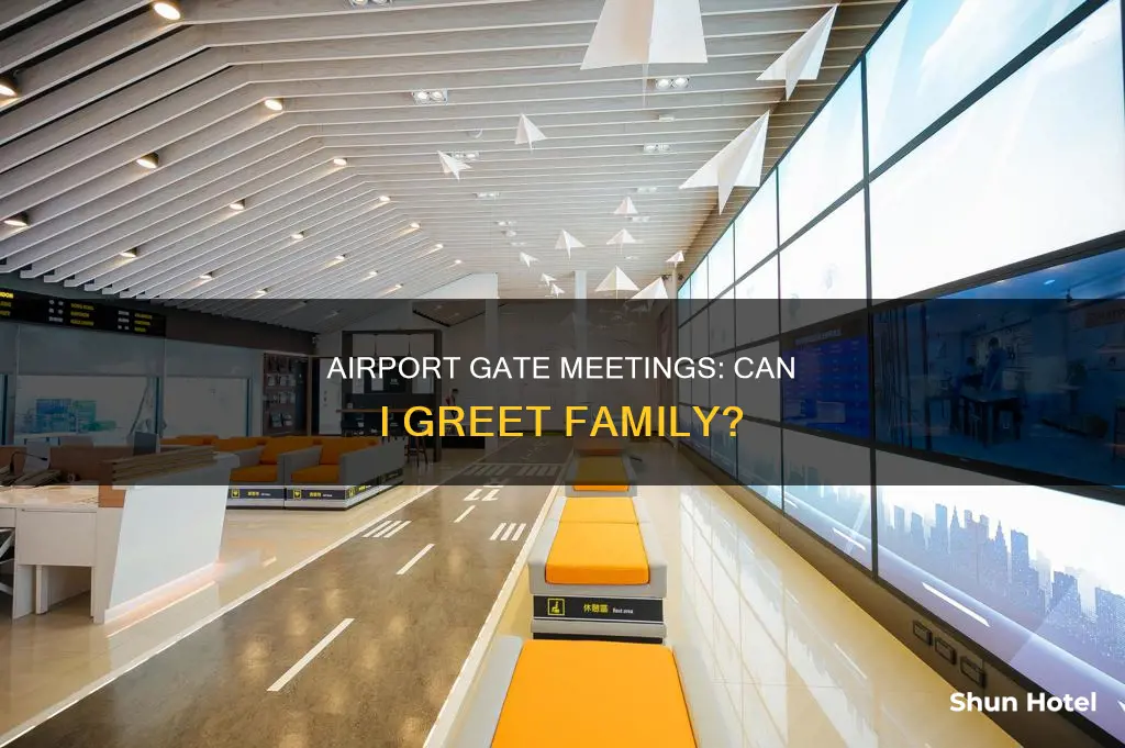can i meet my family at the airport gate