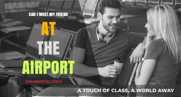 Exploring the Airport: Meeting Friends