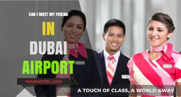 Dubai Airport Friend Meetup: Is It Possible?