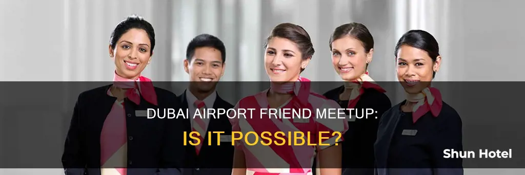 can i meet my friend in dubai airport