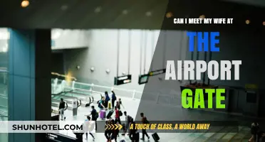 Meeting Your Spouse at the Airport Gate: Is It Allowed?