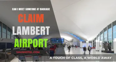 Meeting at Lambert Airport Baggage Claim: Is It Possible?