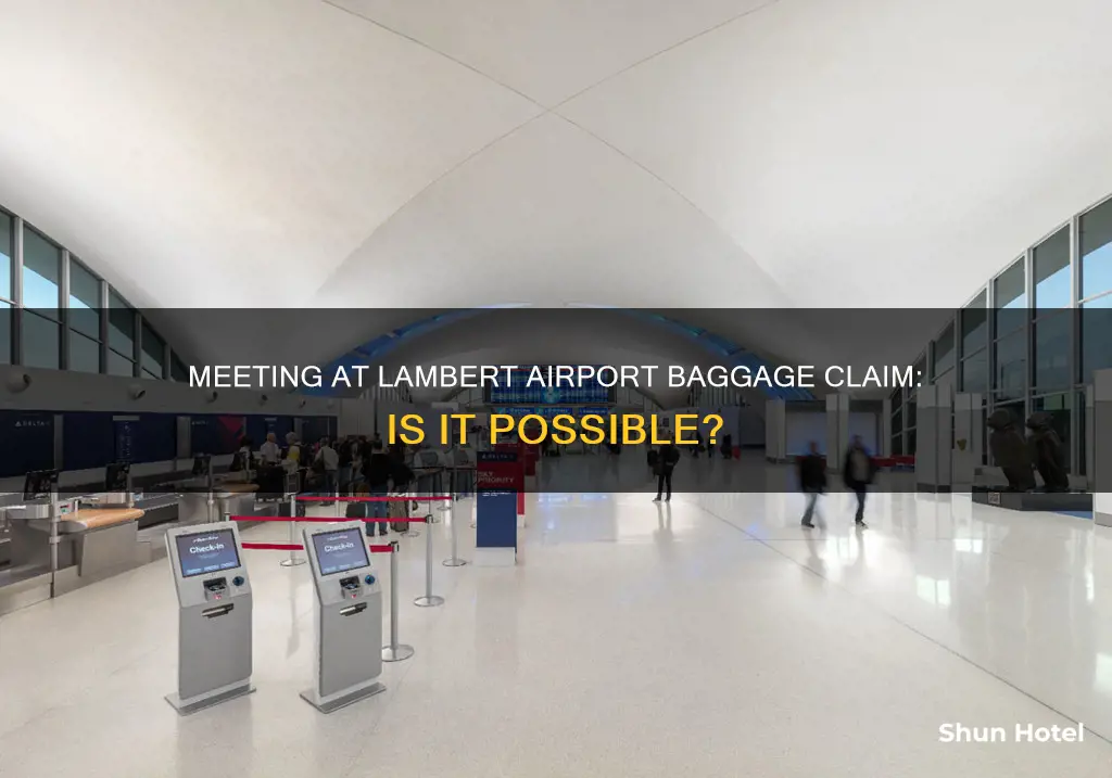 can i meet someone at baggage claim lambert airport