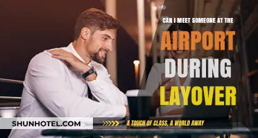 How to Meet and Greet During a Layover