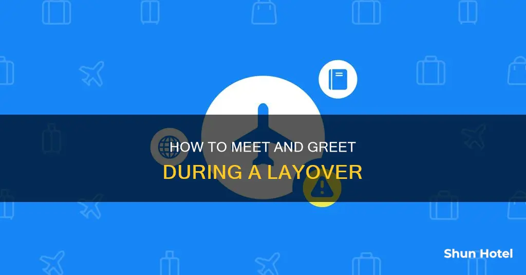 can i meet someone at the airport during layover