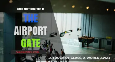 How to Arrange a Warm Airport Gate Welcome