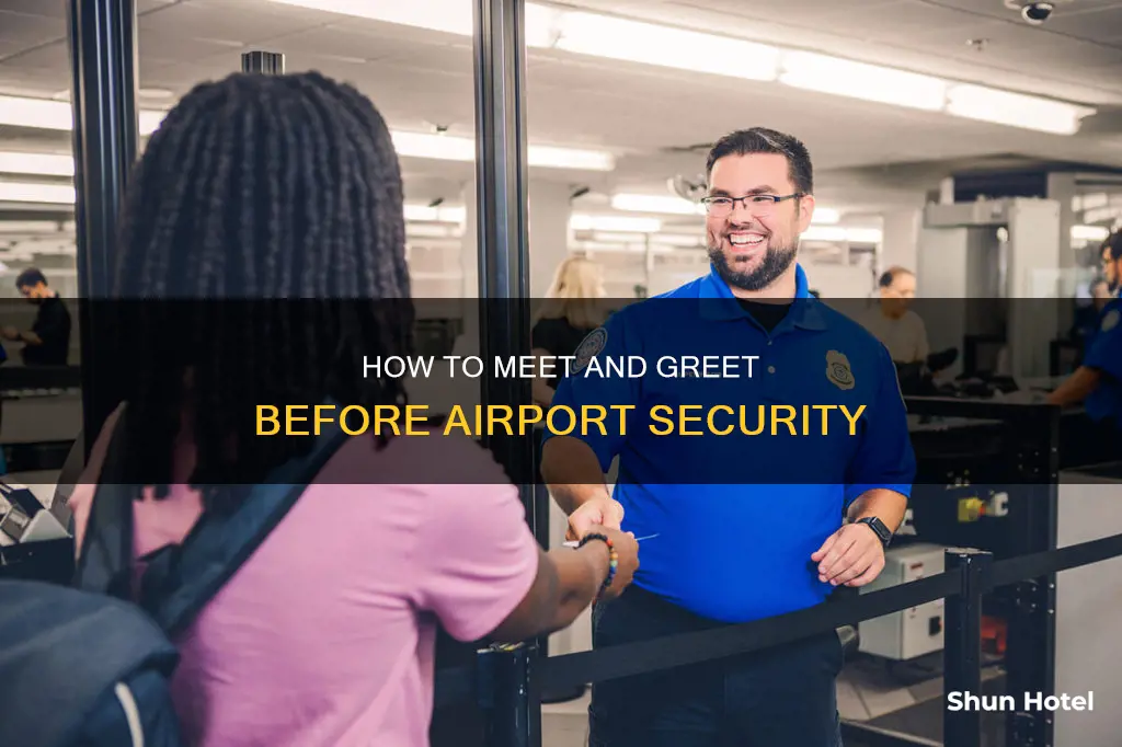 can i meet someone before security at the airport