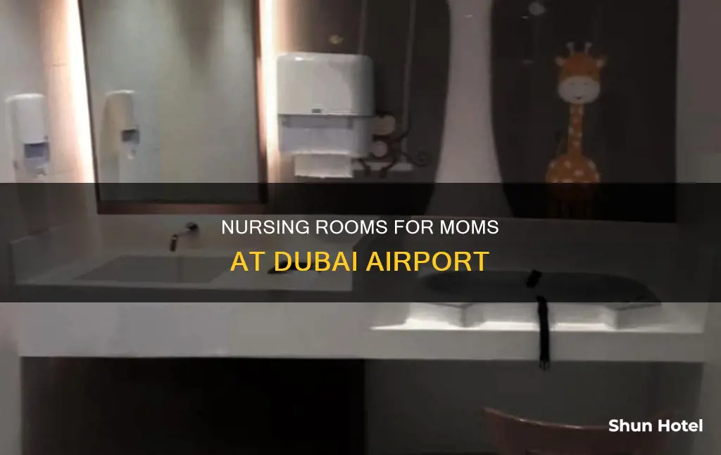 can i nurse my baby in dubai airport