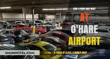 Parking and Waiting at O'Hare: Where and How?