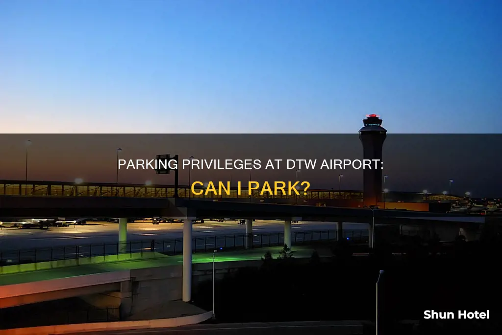 can i park my car at dtw airport