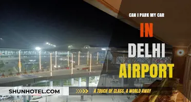 Parking Privileges at Delhi Airport: Can I Park My Car?