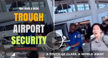Traveling with a Dildo: Airport Security Concerns
