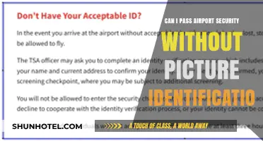 Air Travel Without Picture ID: Possible?