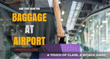 Paying for Baggage: Airport Cash Options
