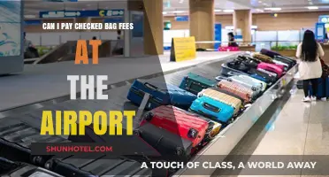 How to Pay for Checked Baggage at the Airport