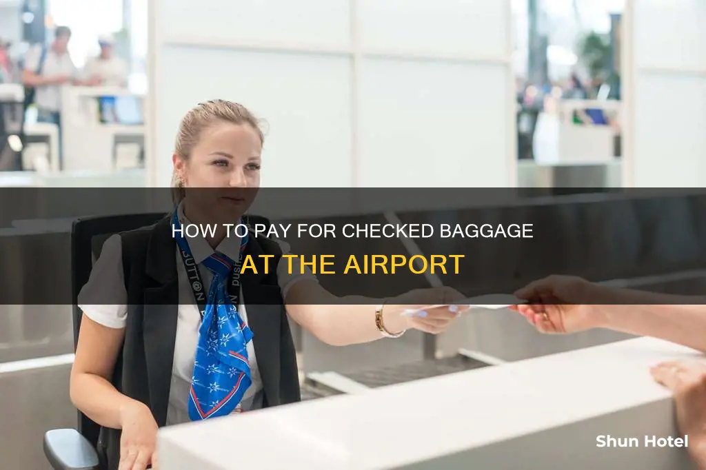 can i pay checked bag fees at the airport