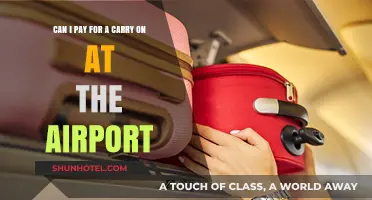 How to Pay for Carry-Ons at Airports?