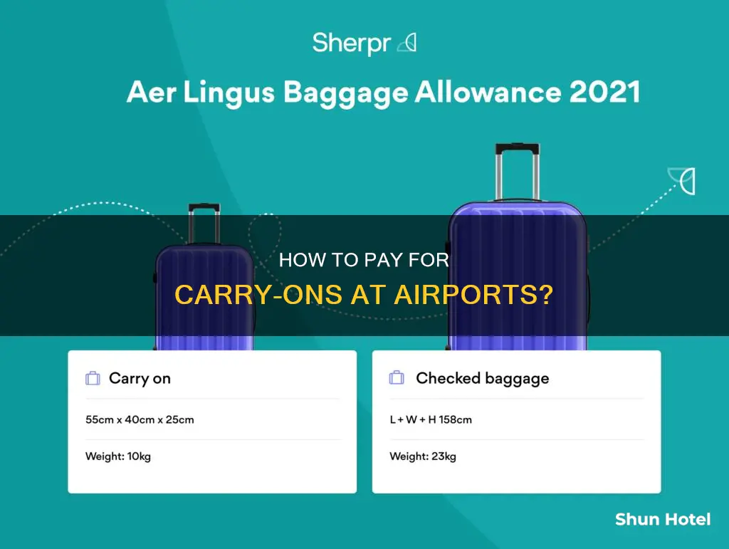can i pay for a carry on at the airport