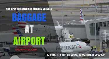 Paying for Checked Baggage at the Airport: American Airlines