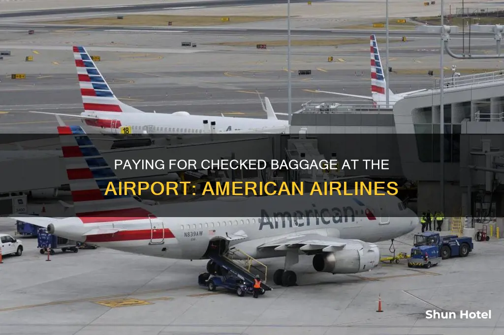 can i pay for american airlines checked baggage at airport