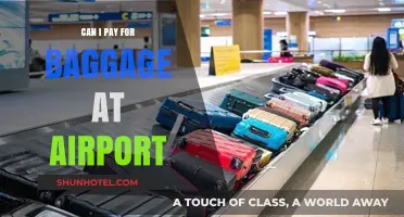 Baggage Payment Options: Airport Kiosks or Online?