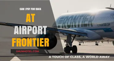 Paying for Bags at the Airport: A Guide to Frontier
