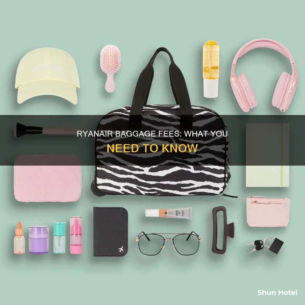 can i pay for bags at airport ryan air