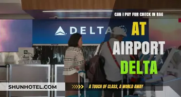 Delta Checked Baggage: Paying at the Airport