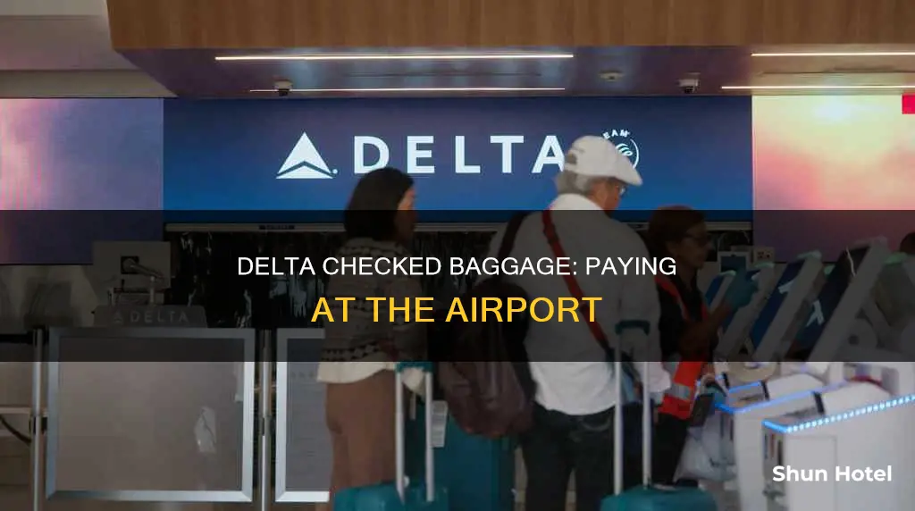can i pay for check in bag at airport delta