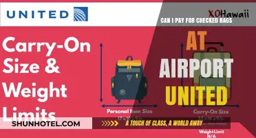 How to Pay for Checked Bags at the Airport