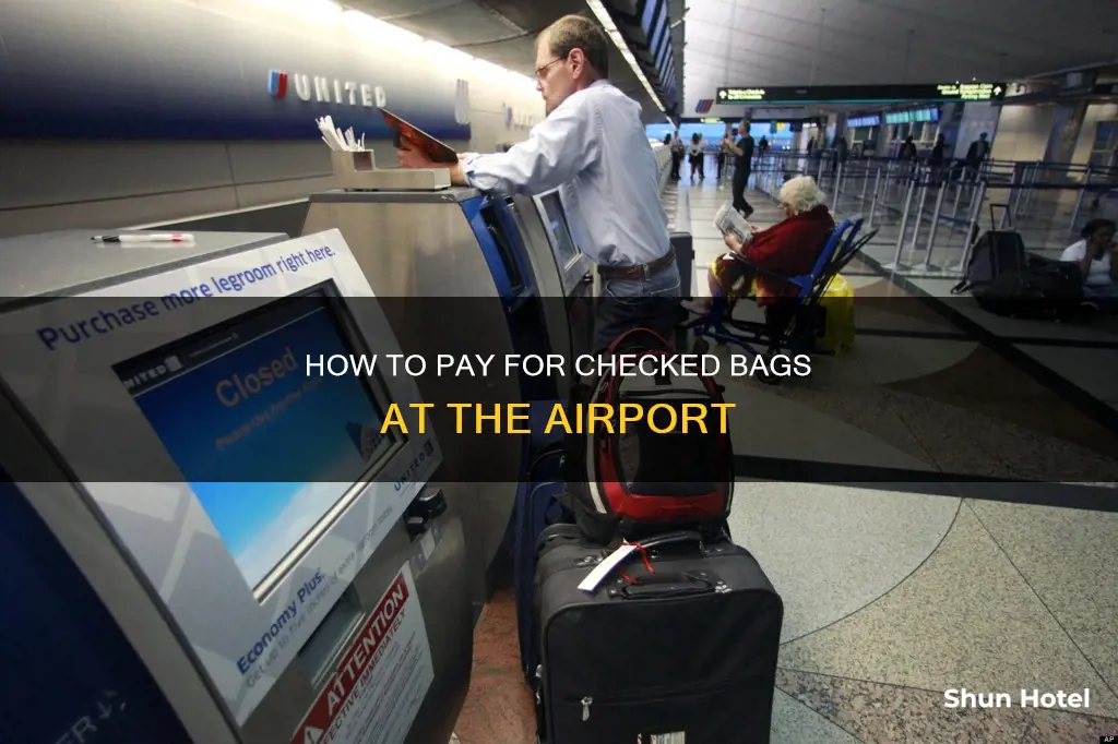 can i pay for checked bags at airport united